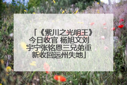 《紫川之光明王》今日收官 杨旭文刘宇宁张铭恩三兄弟重新收回远州失地