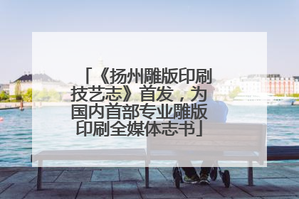 《扬州雕版印刷技艺志》首发，为国内首部专业雕版印刷全媒体志书