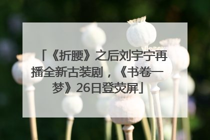 《折腰》之后刘宇宁再播全新古装剧，《书卷一梦》26日登荧屏