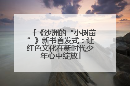 《沙洲的“小树苗”》新书首发式：让红色文化在新时代少年心中绽放