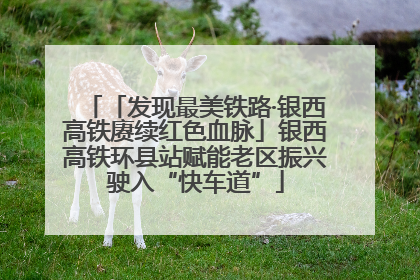 「发现最美铁路·银西高铁赓续红色血脉」银西高铁环县站赋能老区振兴驶入“快车道”