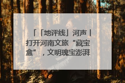 「地评线」河声丨打开河南文旅“藏宝盒”，文明瑰宝澎湃发展“豫动能”