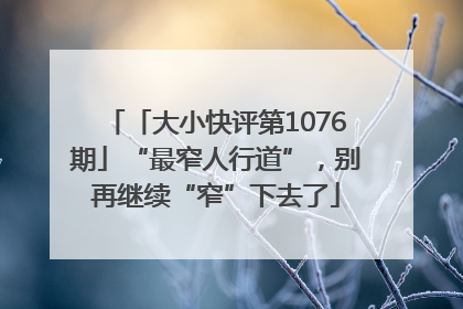 「大小快评第1076期」“最窄人行道”，别再继续“窄”下去了