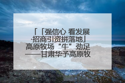 「强信心 看发展·招商引资拼落地」高原牧场“牛”劲足——甘肃华予高原牧场高标准奶牛肉牛养殖项目一线见闻