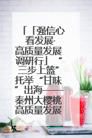 「强信心 看发展·高质量发展调研行」“三步上篮”托举“甘味”出海——秦州大樱桃高质量发展动作分解