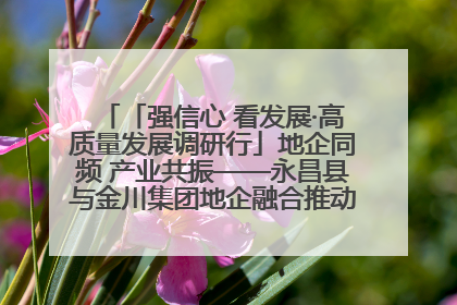 「强信心 看发展·高质量发展调研行」地企同频 产业共振——永昌县与金川集团地企融合推动重大项目建设