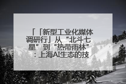 「新型工业化媒体调研行」从“北斗七星”到“热带雨林”：上海AI生态的技术商业共生密码