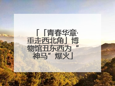 「青春华章·重走西北角」博物馆丑东西为“神马”爆火