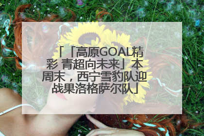 「高原GOAL精彩 青超向未来」本周末，西宁雪豹队迎战果洛格萨尔队