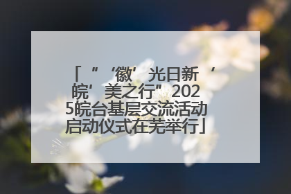 “‘徽’光日新‘皖’美之行”2025皖台基层交流活动启动仪式在芜举行