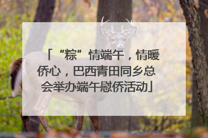 “粽”情端午，情暖侨心，巴西青田同乡总会举办端午慰侨活动