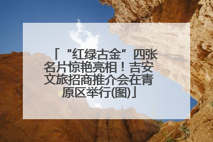 “红绿古金”四张名片惊艳亮相！吉安文旅招商推介会在青原区举行(图)