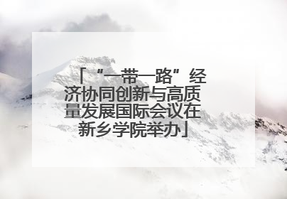 “一带一路”经济协同创新与高质量发展国际会议在新乡学院举办