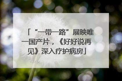 “一带一路”展映唯一国产片，《好好说再见》深入疗护病房