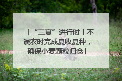 “三夏”进行时丨不误农时完成夏收夏种，确保小麦颗粒归仓