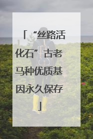 “丝路活化石”古老马种优质基因永久保存
