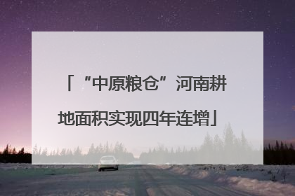 “中原粮仓”河南耕地面积实现四年连增