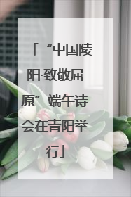“中国陵阳·致敬屈原”端午诗会在青阳举行