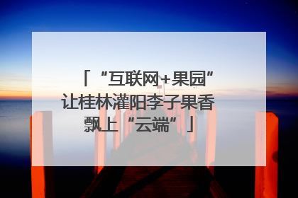“互联网+果园”让桂林灌阳李子果香飘上“云端”