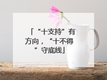 “十支持”有方向，“十不得”守底线