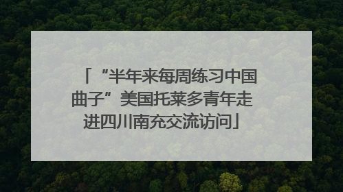 “半年来每周练习中国曲子”美国托莱多青年走进四川南充交流访问