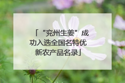 “兖州生姜”成功入选全国名特优新农产品名录
