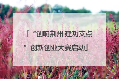“创响荆州·建功支点”创新创业大赛启动