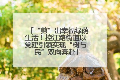 “剪”出幸福绿荫生活！控江路街道以党建引领实现“树与民”双向奔赴