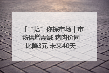 “培”你探市场｜市场供增需减 猪肉价同比降3元 未来40天便宜猪肉敞开吃