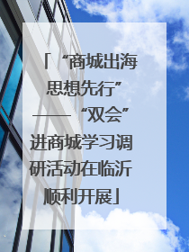 “商城出海 思想先行”——“双会”进商城学习调研活动在临沂顺利开展