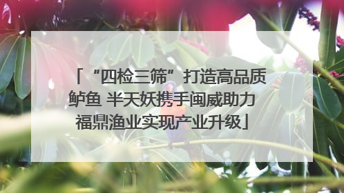 “四检三筛”打造高品质鲈鱼 半天妖携手闽威助力福鼎渔业实现产业升级