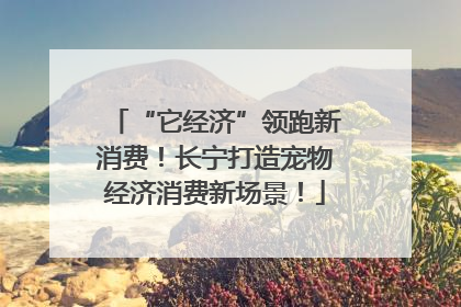 “它经济”领跑新消费！长宁打造宠物经济消费新场景！