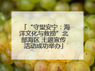 “守望安宁：海洋文化与救捞”北部海区 主题宣传活动成功举办