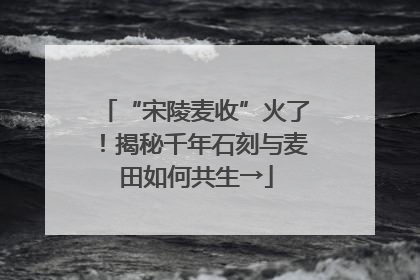“宋陵麦收”火了！揭秘千年石刻与麦田如何共生→