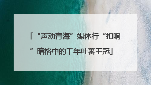 “声动青海”媒体行“扣响”暗格中的千年吐蕃王冠