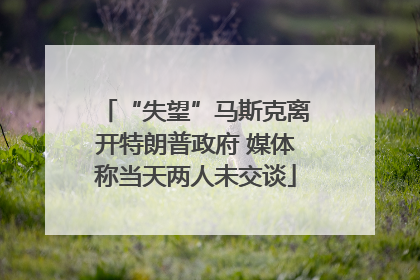 “失望”马斯克离开特朗普政府 媒体称当天两人未交谈