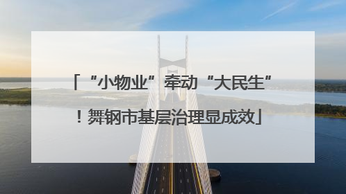 “小物业”牵动“大民生”！舞钢市基层治理显成效