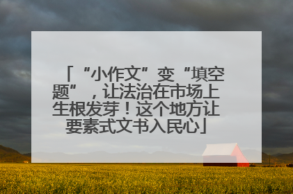 “小作文”变“填空题”，让法治在市场上生根发芽！这个地方让要素式文书入民心