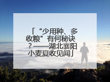 “少用种、多收粮”有何秘诀？——湖北襄阳小麦夏收见闻