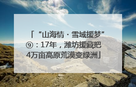 “山海情・雪域援梦”⑨：17年，潍坊援藏把4万亩高原荒漠变绿洲