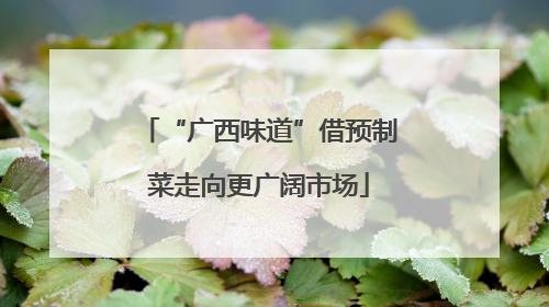 “广西味道”借预制菜走向更广阔市场