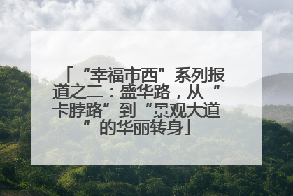 “幸福市西”系列报道之二：盛华路，从“卡脖路”到“景观大道”的华丽转身