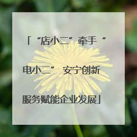 “店小二”牵手“电小二” 安宁创新服务赋能企业发展