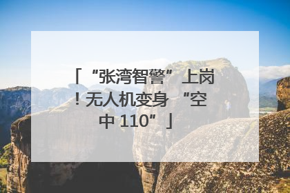 “张湾智警”上岗！无人机变身 “空中 110”