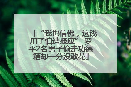 “我也信佛，这钱用了怕遭报应” 罗平2名男子偷走功德箱却一分没敢花