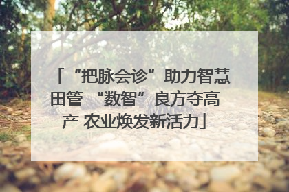 “把脉会诊”助力智慧田管 “数智”良方夺高产 农业焕发新活力
