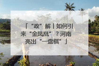 “政”解丨如何引来“金凤凰”？河南亮出“一盘棋”