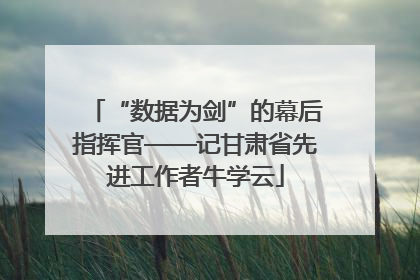 “数据为剑”的幕后指挥官——记甘肃省先进工作者牛学云