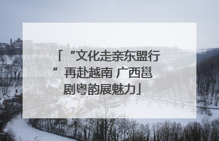 “文化走亲东盟行”再赴越南 广西邕剧粤韵展魅力