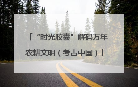“时光胶囊”解码万年农耕文明（考古中国）